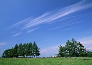 焼津市浜当目の家族葬・一般葬に最適な安心の葬儀場【富士葬祭 焼津】の特徴と詳細情報