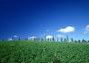 静岡県の信頼できる葬儀・家族葬・火葬施設を徹底解説｜【家族葬のタクセル】の特徴と店舗情報
