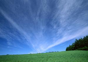 静岡県焼津市の家族葬専門斎場「家族葬のタクセル焼津」完全解説｜特徴・料金・店舗情報