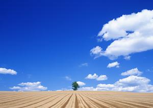 宇都宮市の信頼の葬儀会場｜さがみ典礼 元今泉の特徴と利用案内