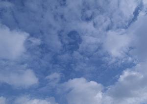 静岡市で低価格・安心の葬儀を実現！家族葬のタクセルの全て