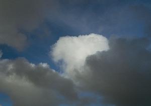 静岡市の家族葬・一組貸切のプライベート葬儀を実現する富士葬祭 唐瀬の特徴とサービス内容